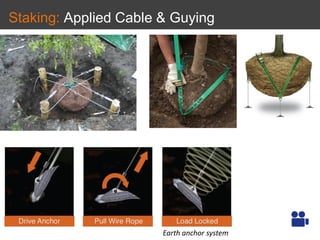 Staking: Applied Cable & Guying
Earth anchor system
 