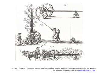 In 1700's England "Capability Brown" invented this tree moving wagon to improve landscapes for the wealthy.
This image is supposed to be from Samuel Hayes c.1794 .
 