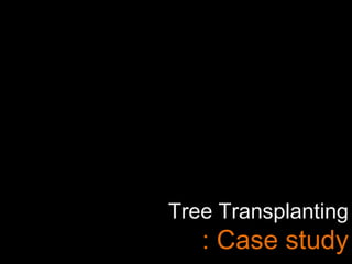 Tree Transplanting
: Case study
 