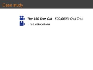 Case study
The 150 Year Old - 800,000lb Oak Tree
Tree relocation
 