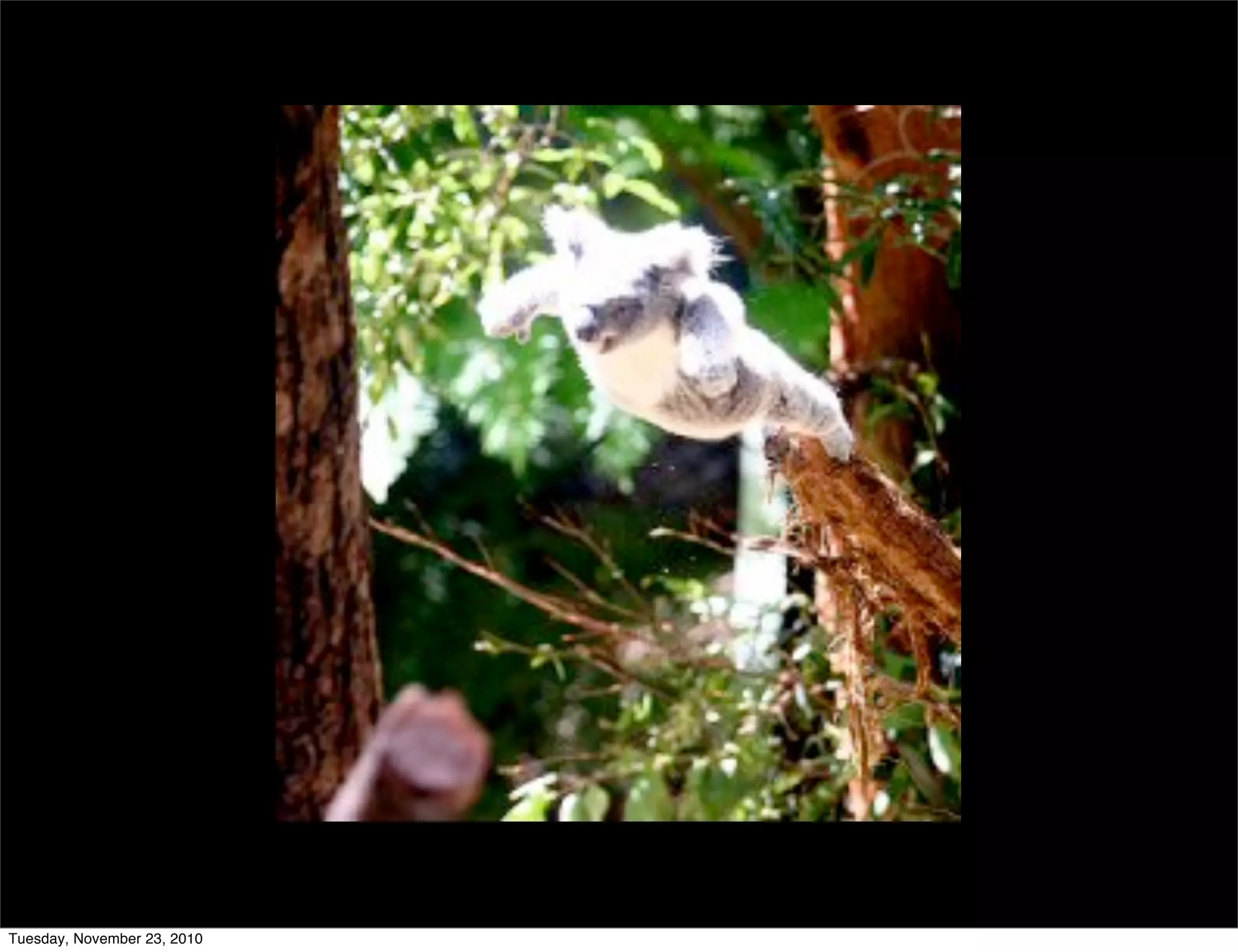 Tuesday, November 23, 2010
 