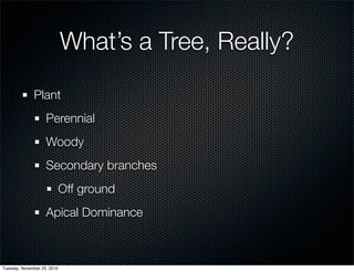 What’s a Tree, Really?
Plant
Perennial
Woody
Secondary branches
Off ground
Apical Dominance
Tuesday, November 23, 2010
 