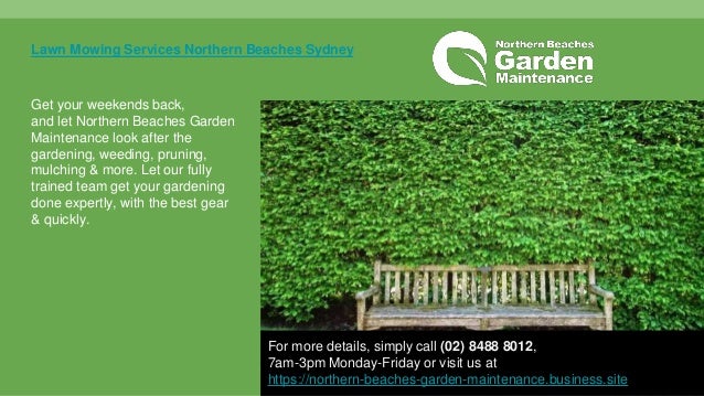 Garden Maintenance Northern Beaches Sydney Nsw