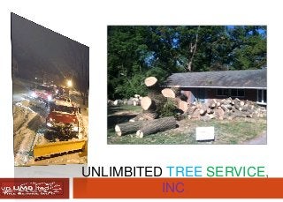 UNLIMBITED TREE SERVICE,
INC.
 