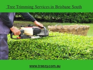 Tree Trimming Services in Brisbane South
www.treezy.com.au
 