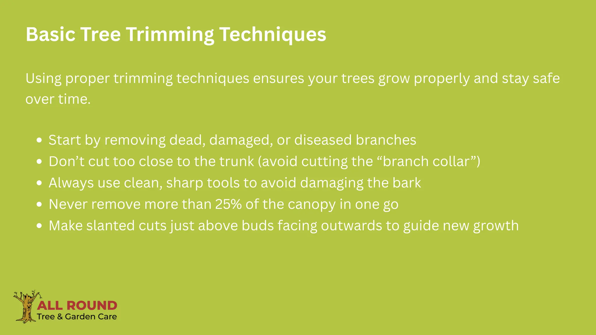 Basic Tree Trimming Techniques
Using proper trimming techniques ensures your trees grow properly and stay safe
over time.
Start by removing dead, damaged, or diseased branches
Don’t cut too close to the trunk (avoid cutting the “branch collar”)
Always use clean, sharp tools to avoid damaging the bark
Never remove more than 25% of the canopy in one go
Make slanted cuts just above buds facing outwards to guide new growth
 