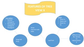 Tree View X software ppt.pptx