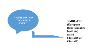 WHERE DO I GO
TO MAKE A
TREE?
EMBL-EBI
(European
Bioinformatics
Institute)
called
ClutsalW or
ClustalX.
 