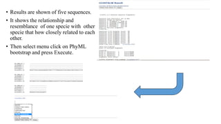 Tree View X software ppt.pptx
