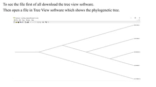 Tree View X software ppt.pptx