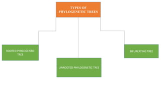 Tree View X software ppt.pptx
