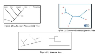 Tree View X software ppt.pptx