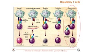 T regulatory cell | PPTX