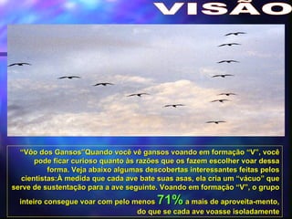 VISÃO “ Vôo dos Gansos”Quando você vê gansos voando em formação “V”, você pode ficar curioso quanto às razões que os fazem escolher voar dessa forma. Veja abaixo algumas descobertas interessantes feitas pelos cientistas:À medida que cada ave bate suas asas, ela cria um “vácuo” que serve de sustentação para a ave seguinte. Voando em formação “V”, o grupo inteiro consegue voar com pelo menos  71%  a mais de aproveita-mento, do que se cada ave voasse isoladamente 