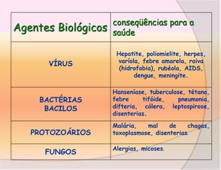 Agentes Biológicos

conseqüências para a
saúde

VÍRUS

Hepatite, poliomielite, herpes,
varíola, febre amarela, raiva
(hidrofobia), rubéola, AIDS,
dengue, meningite.

BACTÉRIAS
BACILOS

Hanseníase, tuberculose, tétano,
febre
tifóide,
pneumonia,
difteria, cólera, leptospirose,
disenterias.

PROTOZOÁRIOS
FUNGOS

Malária,
mal
de
chagas,
toxoplasmose, disenterias.
Alergias, micoses.

 