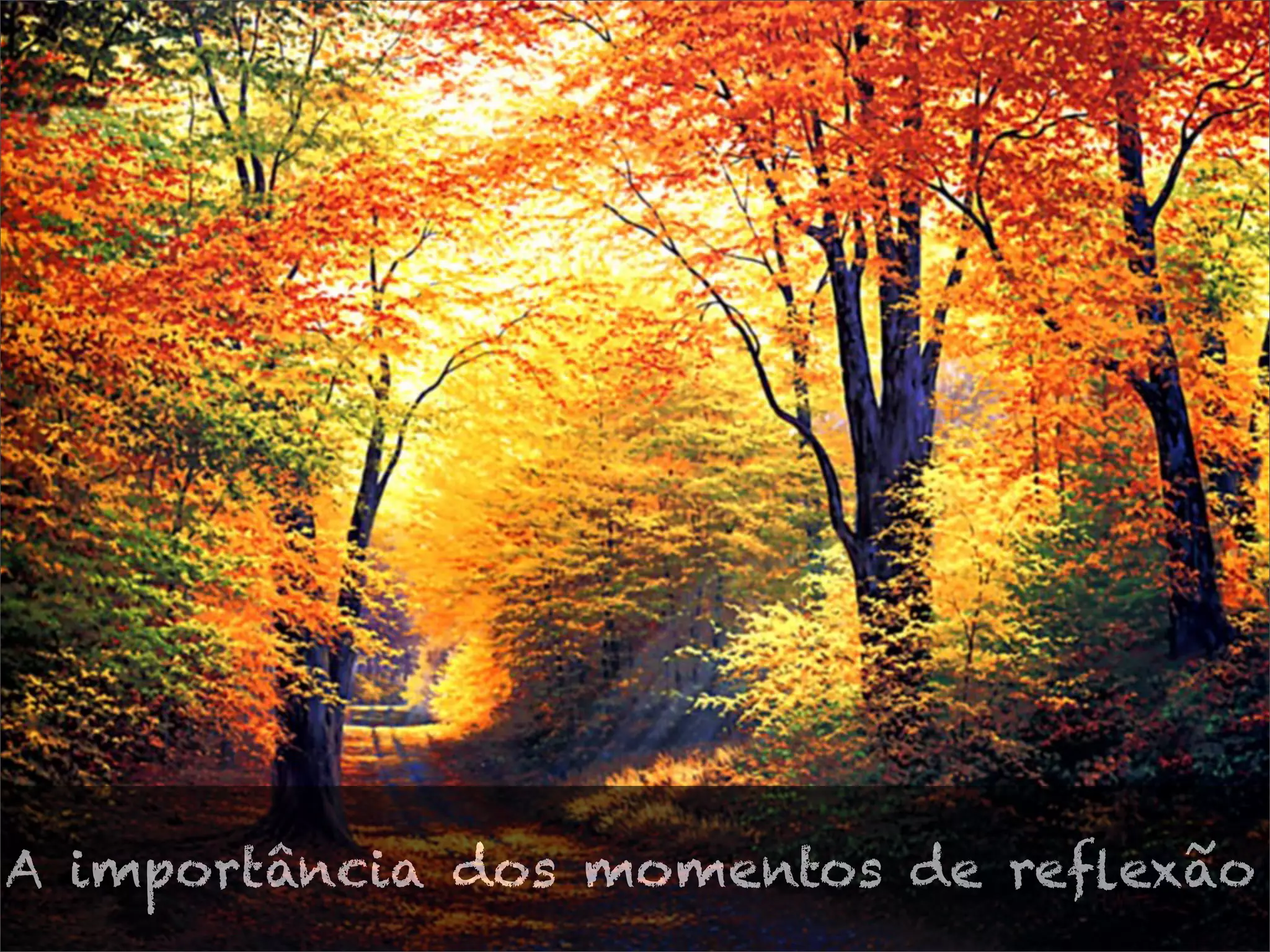 A importância dos momentos de reflexão