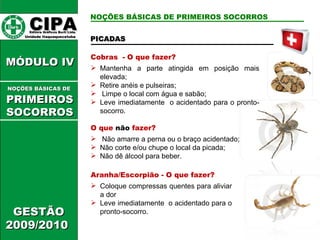 PICADAS  Cobras  - O que fazer? Mantenha a parte atingida em posição mais elevada; Retire anéis e pulseiras; Limpe o local com água e sabão; Leve imediatamente  o acidentado para o pronto-socorro. O que  não  fazer? Não amarre a perna ou o braço acidentado; Não corte e/ou chupe o local da picada; Não dê álcool para beber. Aranha/Escorpião - O que fazer? Coloque compressas quentes para aliviar a dor Leve imediatamente  o acidentado para o pronto-socorro. CIPA   Editora Gráficos Burti Ltda.  Unidade Itaquaquecetuba  GESTÃO 2009/2010  MÓDULO IV  NOÇÕES BÁSICAS DE   PRIMEIROSSOCORROS NOÇÕES BÁSICAS DE PRIMEIROS SOCORROS 