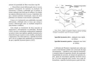 aumento da quantidade de fibras musculares tipo Ilb.
c - Dismorfismo sexual (diferenciação entre os sexos),
também consequente do aumento na produção de
testosterona. E durante a puberdade que os homens se
tornam realmente mais fortes que as mulheres. Em relação
aos aspectos diferenciais entre os sexos, é importante citar
que a menarca (primeira menstruação, marco do início
pubertário em meninas) ocorre durante a puberdade.
Como se vê, é justamente com a puberdade, marcando
efetivamente a distinção entre os sexos, que começa a
ocorrer a diferenciação entre os resultados desportivos
entre homens e mulheres.
Com relação ao treinamento da força muscular na
adolescência, principalmente na puberdade, Weineck
(1991), cita que a assimilação compensatória (adaptação
ao treino) é muito mais rápida no aparelho locomotor ativo
(músculos) do que no passivo (ossos, tendões, articulações
e ligamentos). Em outras palavras, o aparelho locomotor
ativo (ALA) se adapta mais rapidamente ao treinamento
do que o aparelho locomotor passivo (ALP).
: Restauração Super
:Compensa-
:cão
Crescimento do nível pelo processo
de adaptação I
Tempo
Crescimento do nível
pelo processo
de adaptação
Tempo
Tempo
Fonte: Weineck - Manual de Treinamento Desportivo. Desenrolar hipotético
dos processos de restauração e de adaptação do sistema muscular (a); do sistema
de ligação e sustentação(b) e depois de restauração incompleta.
Aparelho locomotor ativo - adaptação mais rápida
ao esforço
Aparelho locomotor passivo - adaptação mais lenta
ao esforço
A afirmativa de Weineck é importante pois indica que
se deve tomar bastante cuidado com a prescrição da carga
de treinamento — entenda-se como carga de treinamento,
o somatório dentro do organismo, do peso, da recuperação,
da quantidade de exercícios, do número de repetições etc,
pois, apesar da musculatura (aparelho locomotor ativo)
em si já estar preparada para receber nova carga de
treinamento, o aparelho locomotor passivo pode não estar.
 