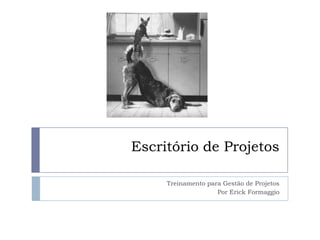 Escritório de Projetos Treinamento para Gestão de Projetos Por Erick Formaggio 