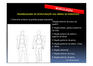 POSSIBILIDADES DE ESTRUTURAÇÃO DAS SÉRIES DE EXERCÍCIOS
1. Exercitar primeiro os grandes grupos musculares
1.Região anterior da coxa e do
quadril;
2. Região lombar, glútea e posterior
da coxa;
3. Região anterior do ombro e
Prof° Moisés Mendes
3. Região anterior do ombro e
superior do tórax;
4. Região posterior da perna;
5. Região posterior do ombro, braço
e tórax;
6. Região abdominal;
7. Região anterior do braço
8. Região anterior da perna.
 