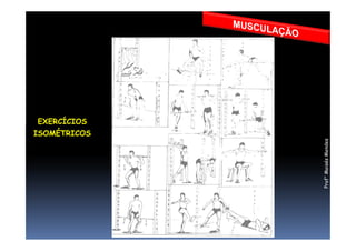 EXERCÍCIOSEXERCÍCIOS
ISOMÉTRICOS
Prof°MoisésMendes
 