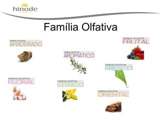 Família Olfativa

 