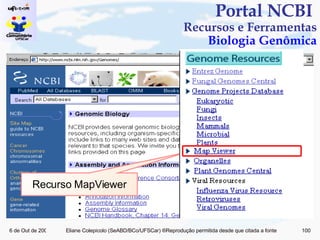 Portal NCBI  Recursos e Ferramentas Biologia Genômica Recurso MapViewer 