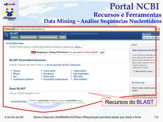Portal NCBI  Recursos e Ferramentas Data Mining – Análise Seqüências Nucleotídeos Recursos do  BLAST 