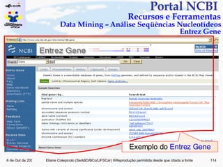 Portal NCBI  Recursos e Ferramentas Data Mining – Análise Seqüências Nucleotídeos Entrez Gene Exemplo do  Entrez Gene 