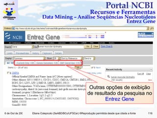Portal NCBI  Recursos e Ferramentas Data Mining – Análise Seqüências Nucleotídeos Entrez Gene Outras opções de exibição de resultado da pesquisa no  Entrez Gene 