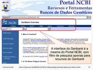 Portal NCBI  Recursos e Ferramentas   Bancos de Dados Genéticos A interface do Genbank é a mesma do Portal NCBI, com filtro de pesquisa apenas para recursos do Genbank 