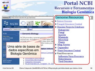Portal NCBI  Recursos e Ferramentas Biologia Genômica Uma série de bases de dados específicas em Biologia Genômica 
