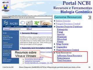 Portal NCBI  Recursos e Ferramentas Biologia Genômica Recursos sobre Vírus e Viroses 