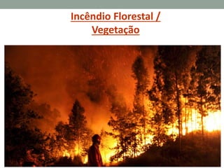 Incêndio Florestal /
Vegetação
 