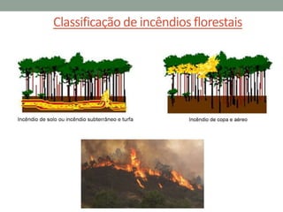 Classificação de incêndios florestais
 