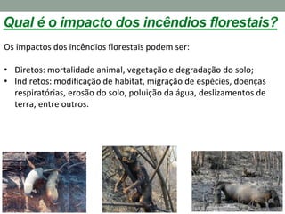 Qual é o impacto dos incêndios florestais?
Os impactos dos incêndios florestais podem ser:
• Diretos: mortalidade animal, vegetação e degradação do solo;
• Indiretos: modificação de habitat, migração de espécies, doenças
respiratórias, erosão do solo, poluição da água, deslizamentos de
terra, entre outros.
 