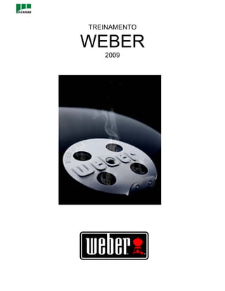 TREINAMENTO

WEBER
   2009




     1
 