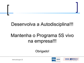 Desenvolva a Autodisciplina!!!

Mantenha o Programa 5S vivo
       na empresa!!!

                 Obrigado!

Metodologia 5S
 