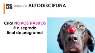 senso de AUTODISCIPLINA5S
Criar NOVOS HÁBITOS
é o segredo
final do programa!
 