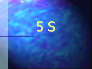 5 S
 