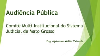 Audiência Pública
Comitê Multi-Institucional do Sistema
Judicial de Mato Grosso
Eng. Agrônomo Walter Valverde
 