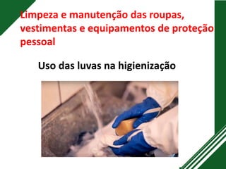 Limpeza e manutenção das roupas,
vestimentas e equipamentos de proteção
pessoal
Uso das luvas na higienização
 