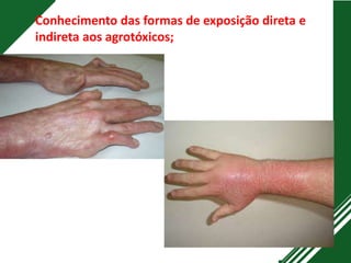 Conhecimento das formas de exposição direta e
indireta aos agrotóxicos;
 