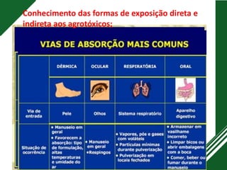 Conhecimento das formas de exposição direta e
indireta aos agrotóxicos;
 