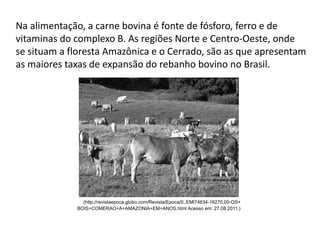 Na alimentação, a carne bovina é fonte de fósforo, ferro e de
vitaminas do complexo B. As regiões Norte e Centro-Oeste, onde
se situam a floresta Amazônica e o Cerrado, são as que apresentam
as maiores taxas de expansão do rebanho bovino no Brasil.
 