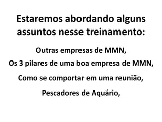 Estaremos abordando alguns
assuntos nesse treinamento:
Outras empresas de MMN,
Os 3 pilares de uma boa empresa de MMN,
Pescadores de Aquário,
Como se comportar em uma reunião,
 