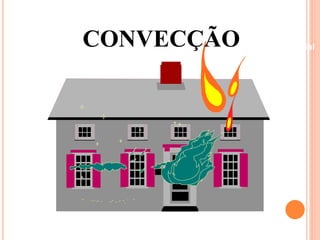 Beneficiamento Industrial CONVECÇÃO 
 