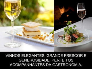 VINHOS ELEGANTES, GRANDE FRESCOR E GENEROSIDADE, PERFEITOS ACOMPANHANTES DA GASTRONOMIA. 