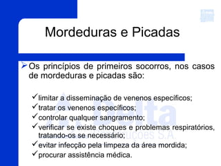 Mordeduras e Picadas
Os princípios de primeiros socorros, nos casos
de mordeduras e picadas são:
limitar a disseminação de venenos específicos;
tratar os venenos específicos;
controlar qualquer sangramento;
verificar se existe choques e problemas respiratórios,
tratando-os se necessário;
evitar infecção pela limpeza da área mordida;
procurar assistência médica.
 