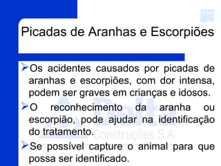 Picadas de Aranhas e Escorpiões
Os acidentes causados por picadas de
aranhas e escorpiões, com dor intensa,
podem ser graves em crianças e idosos.
O reconhecimento da aranha ou
escorpião, pode ajudar na identificação
do tratamento.
Se possível capture o animal para que
possa ser identificado.
 